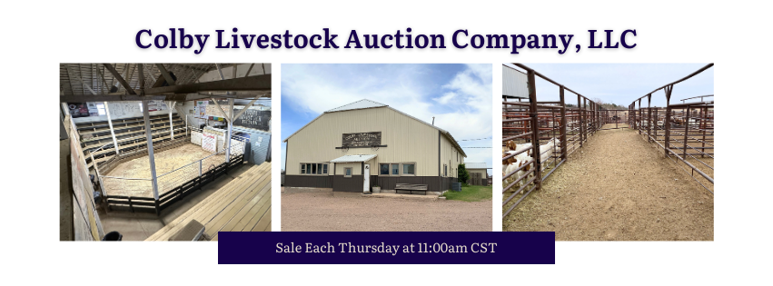 Colby Livestock Auction Company