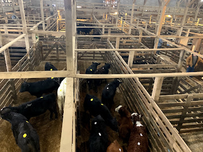 Fennimore Livestock Exchange