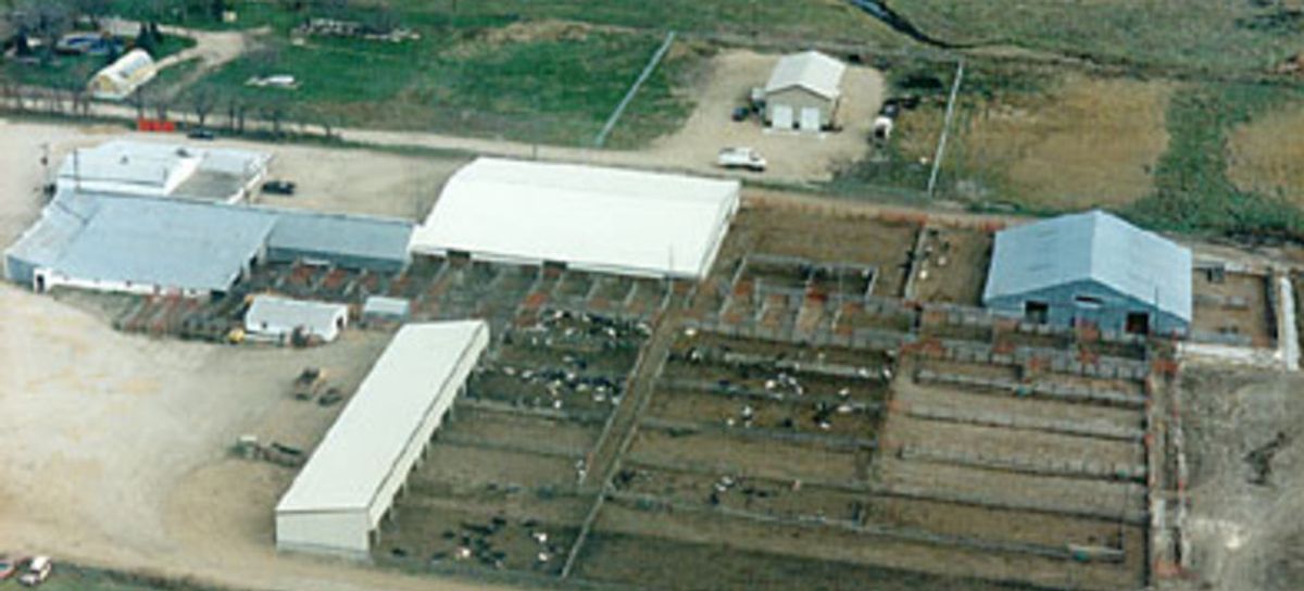 Pipestone Livestock Auction Market
