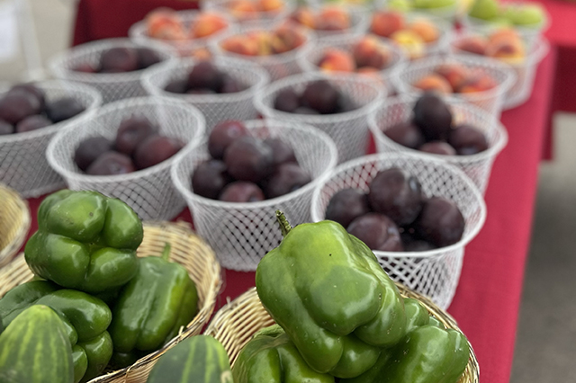 Greeley Farmers' Market