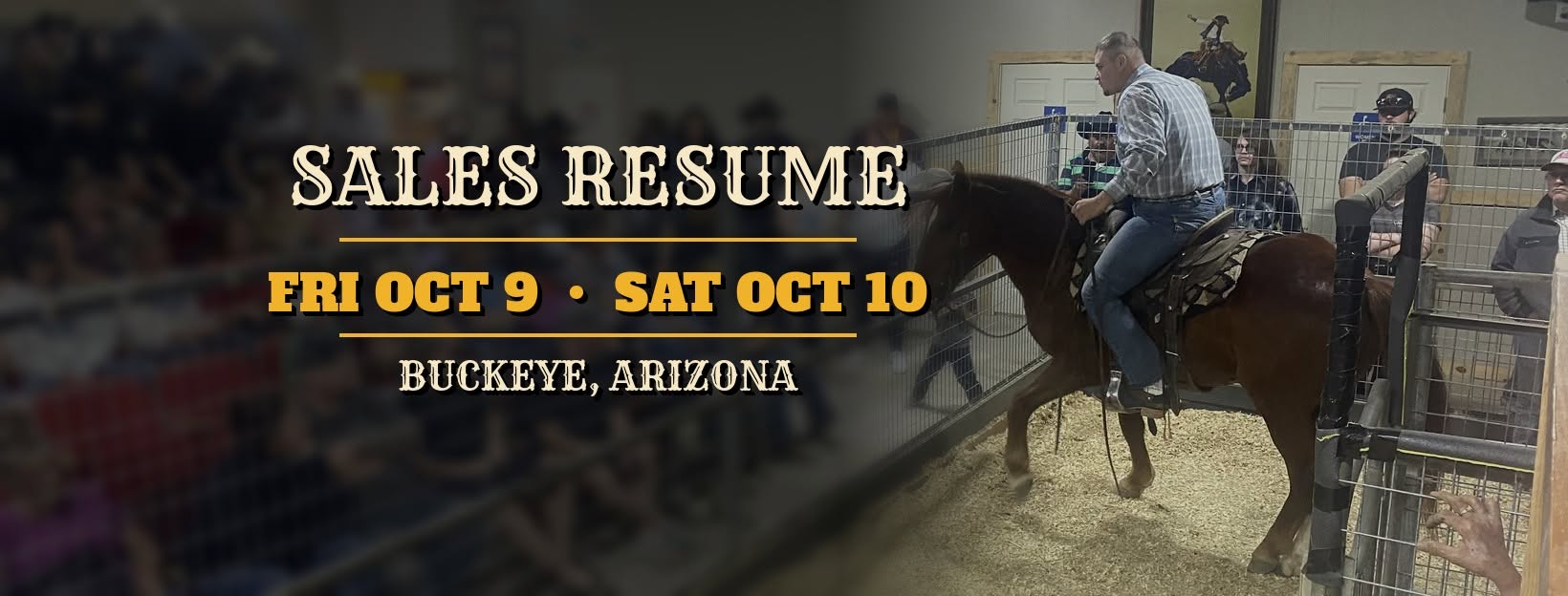 Murphy's Livestock Auction