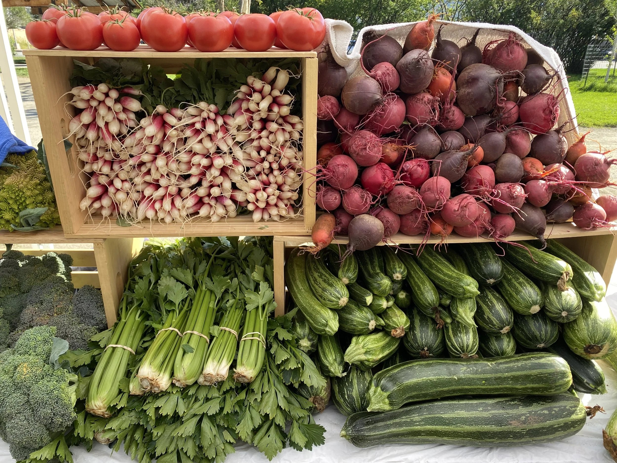 Salida Farmers Market