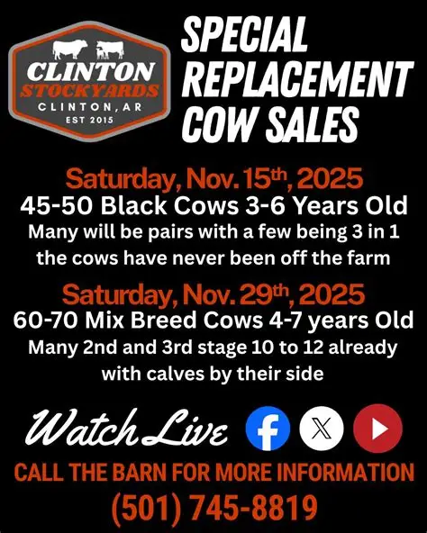 Clinton Stockyards, Inc Livestock