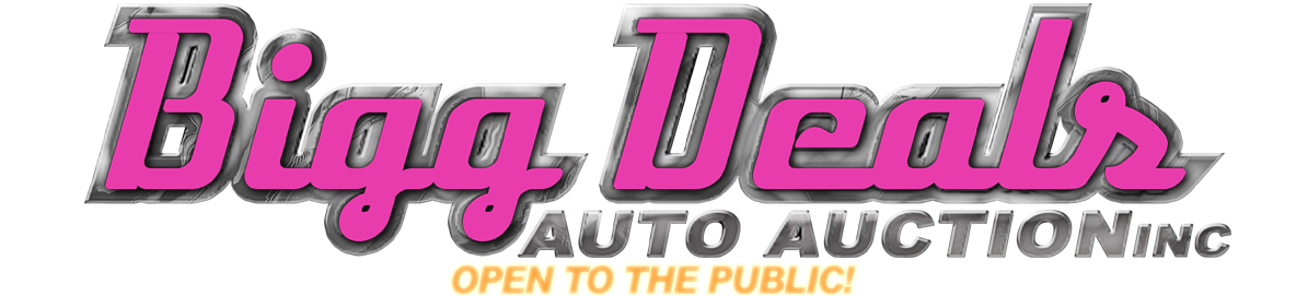 Bigg Deals Auto Auction