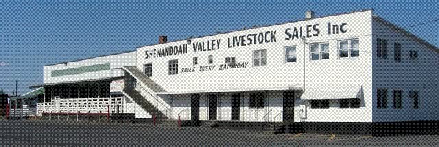 Shenandoah Valley Livestock Sales, Inc.