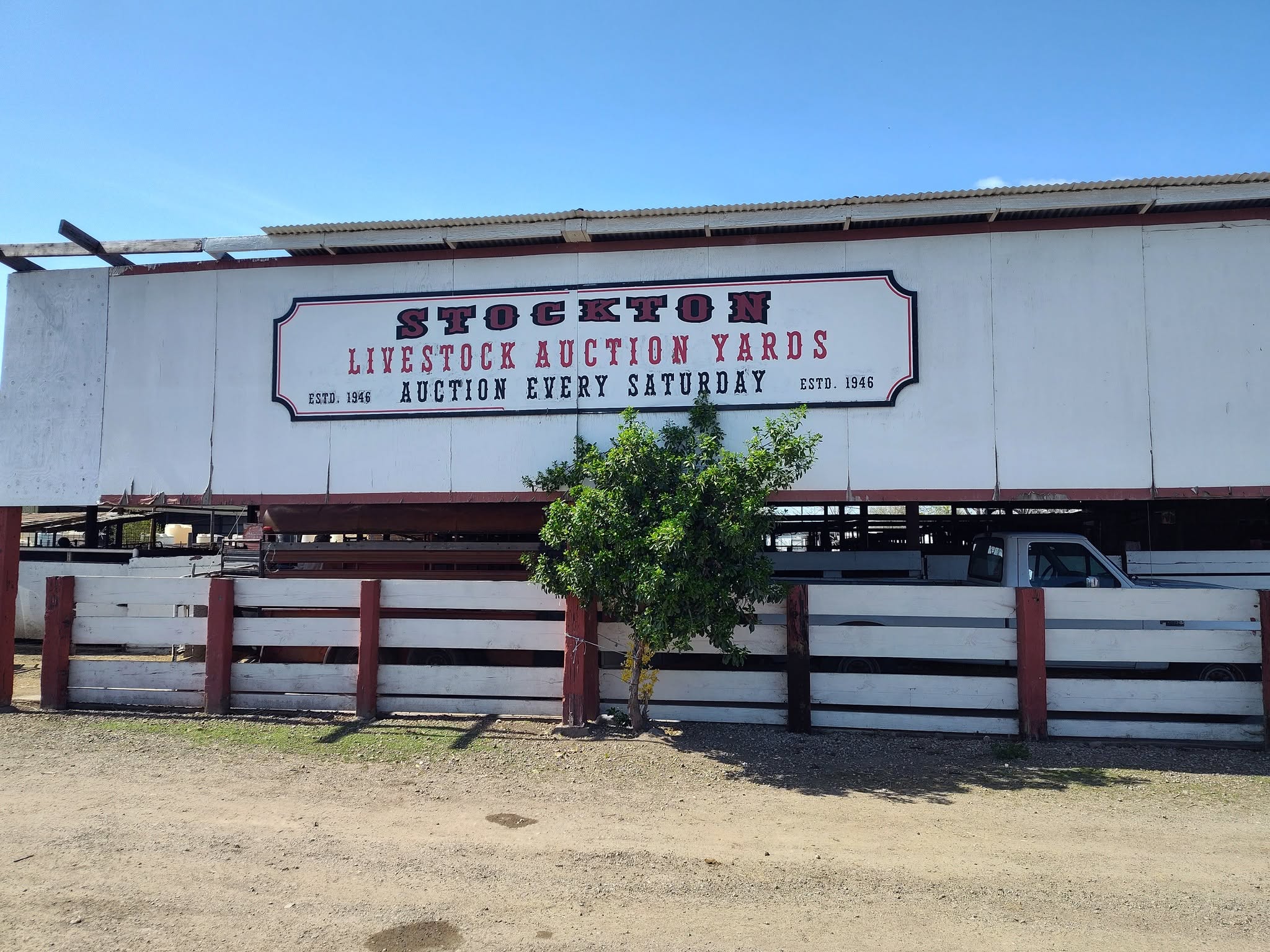 Stockton Livestock Auction