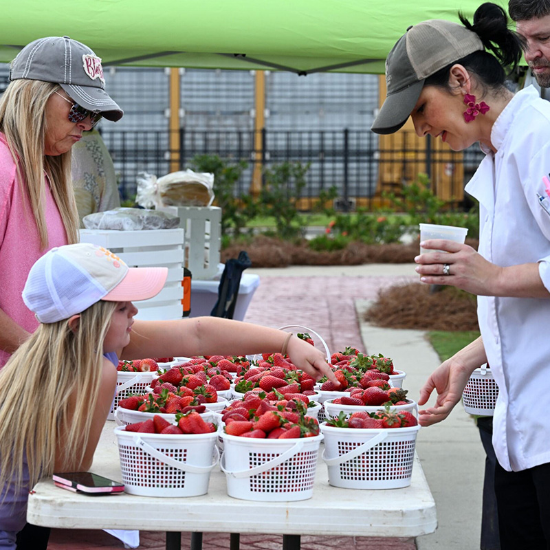 Earth's Bounty Farmers Market