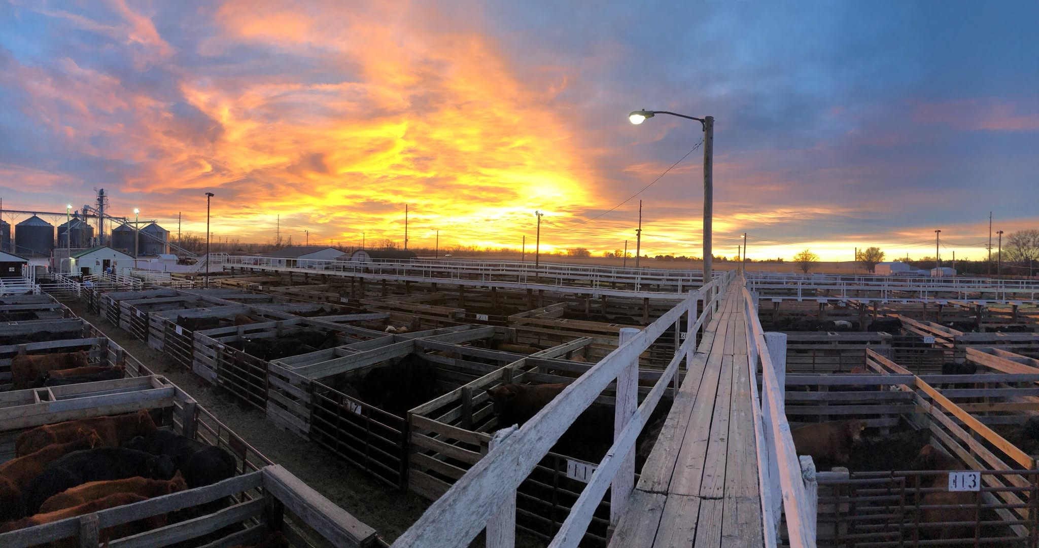 Ogallala Livestock Auction Market