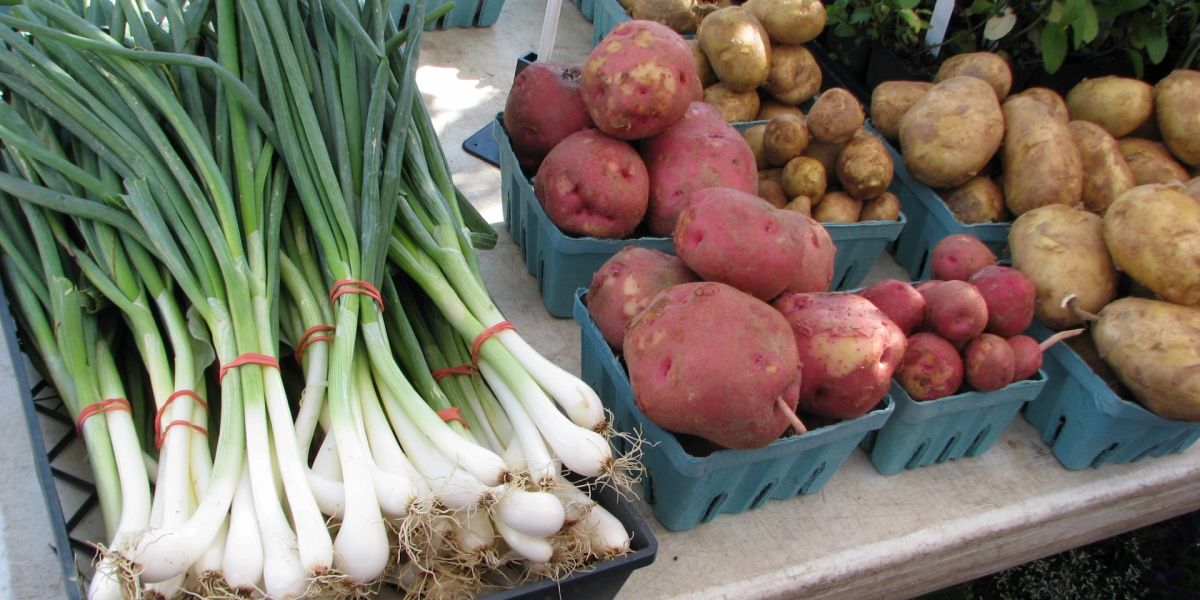 Douglas Farmers Market