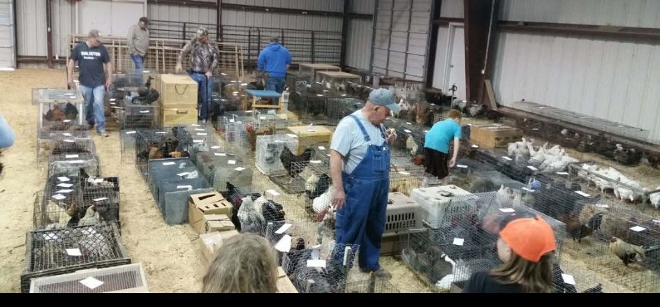 Okmulgee Poultry Auction Poultry/Exotics