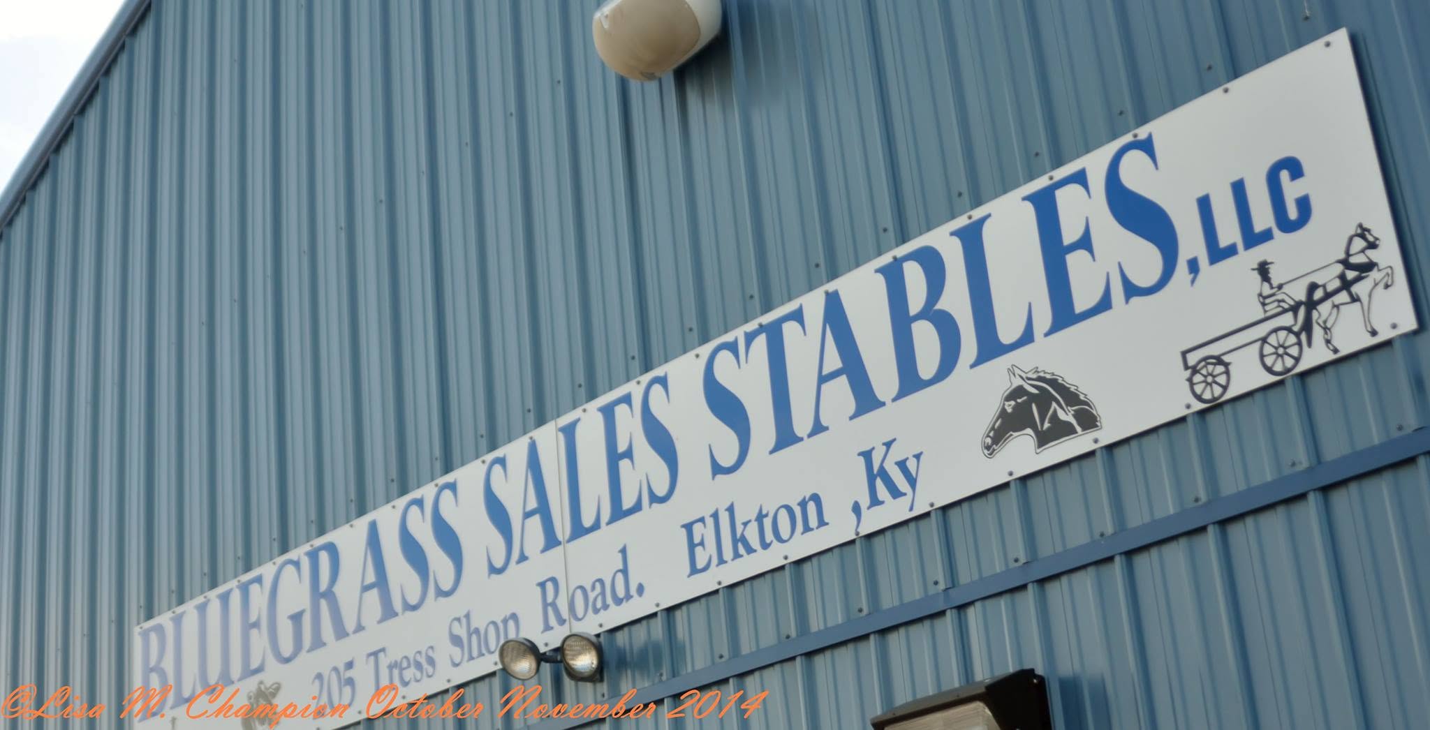 Bluegrass Sales Stables