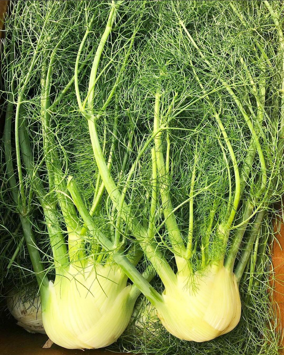 Downtown Ventura Farmers Market