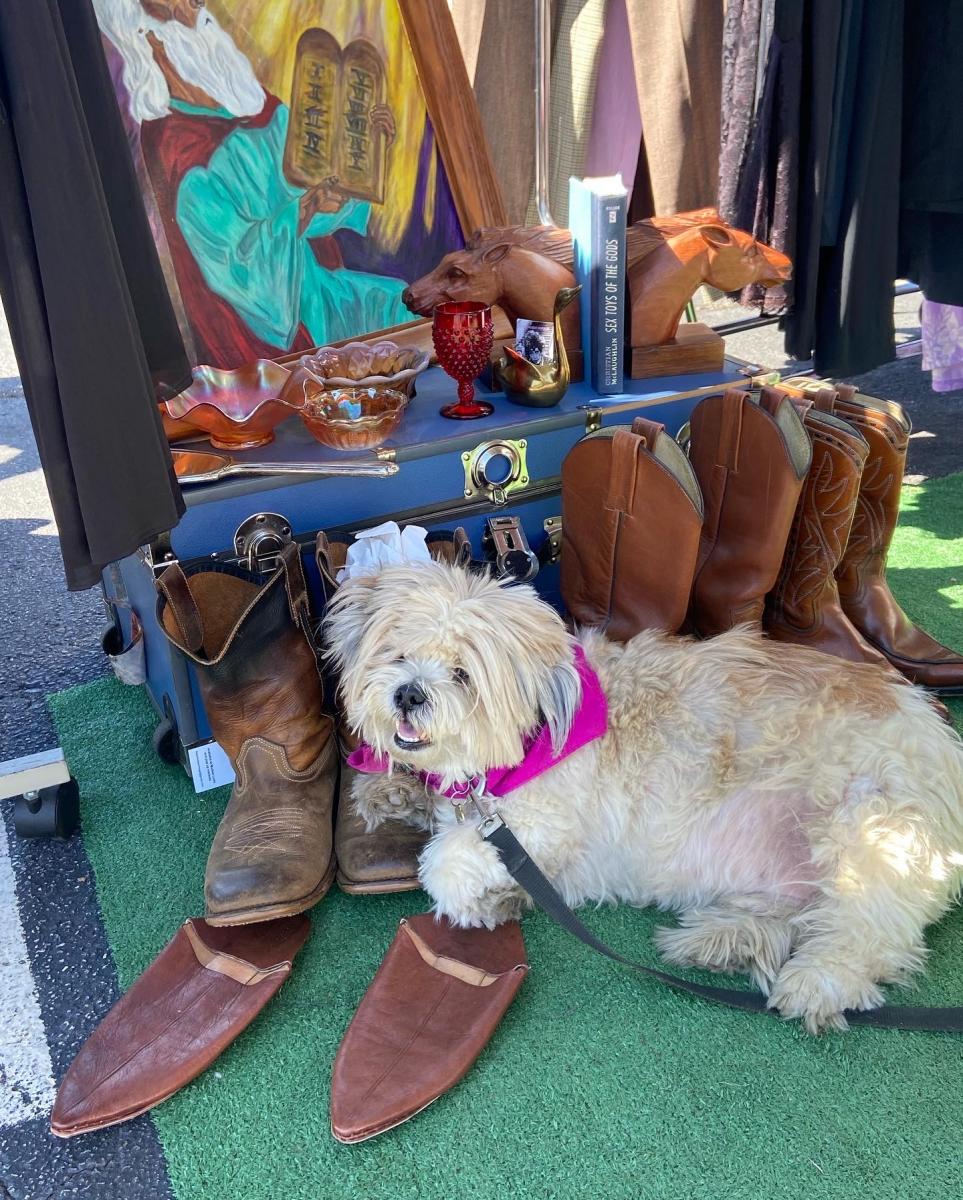 The Dog Trade