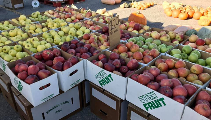 Utah Farm Bureau Farmers Market at South Jordan