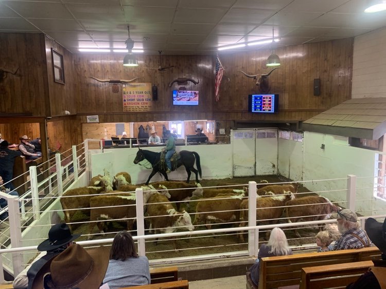 St. Onge Livestock