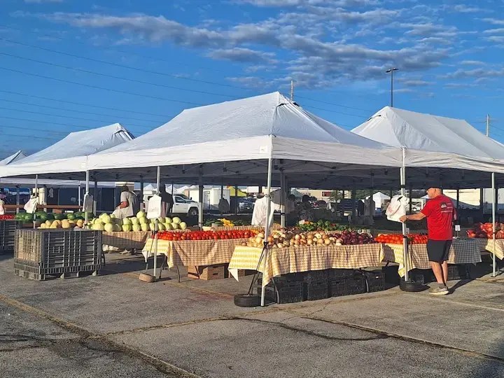 Greater Springfield Farmers Market