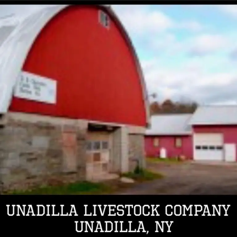 Unadilla Livestock Company