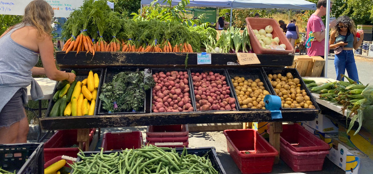 Portland Farmers Market - King