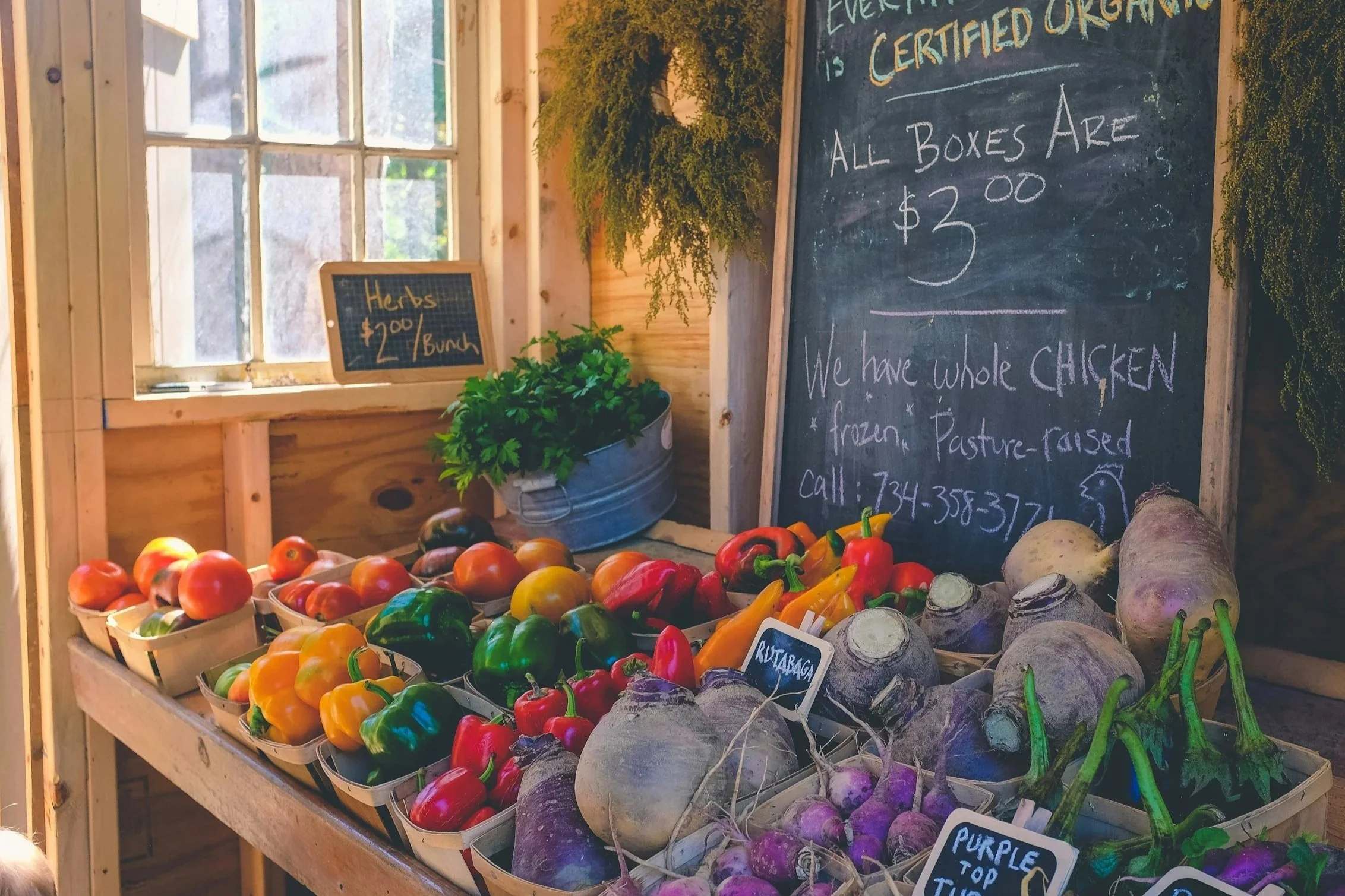 Bangor Farmers Market