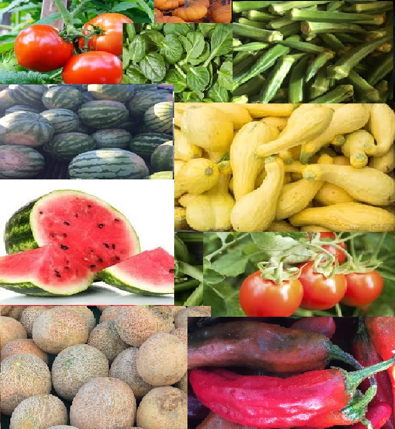 Mid-Town Farmers Market