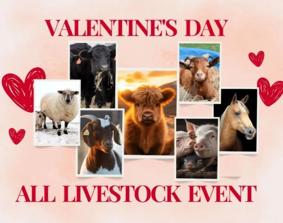 Jackson Livestock Exchange