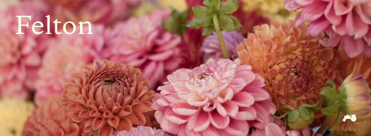 Felton Farmers Market