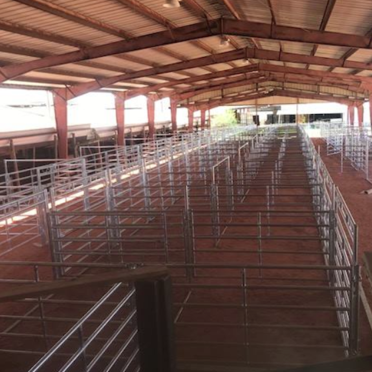 Sumter County Stockyard