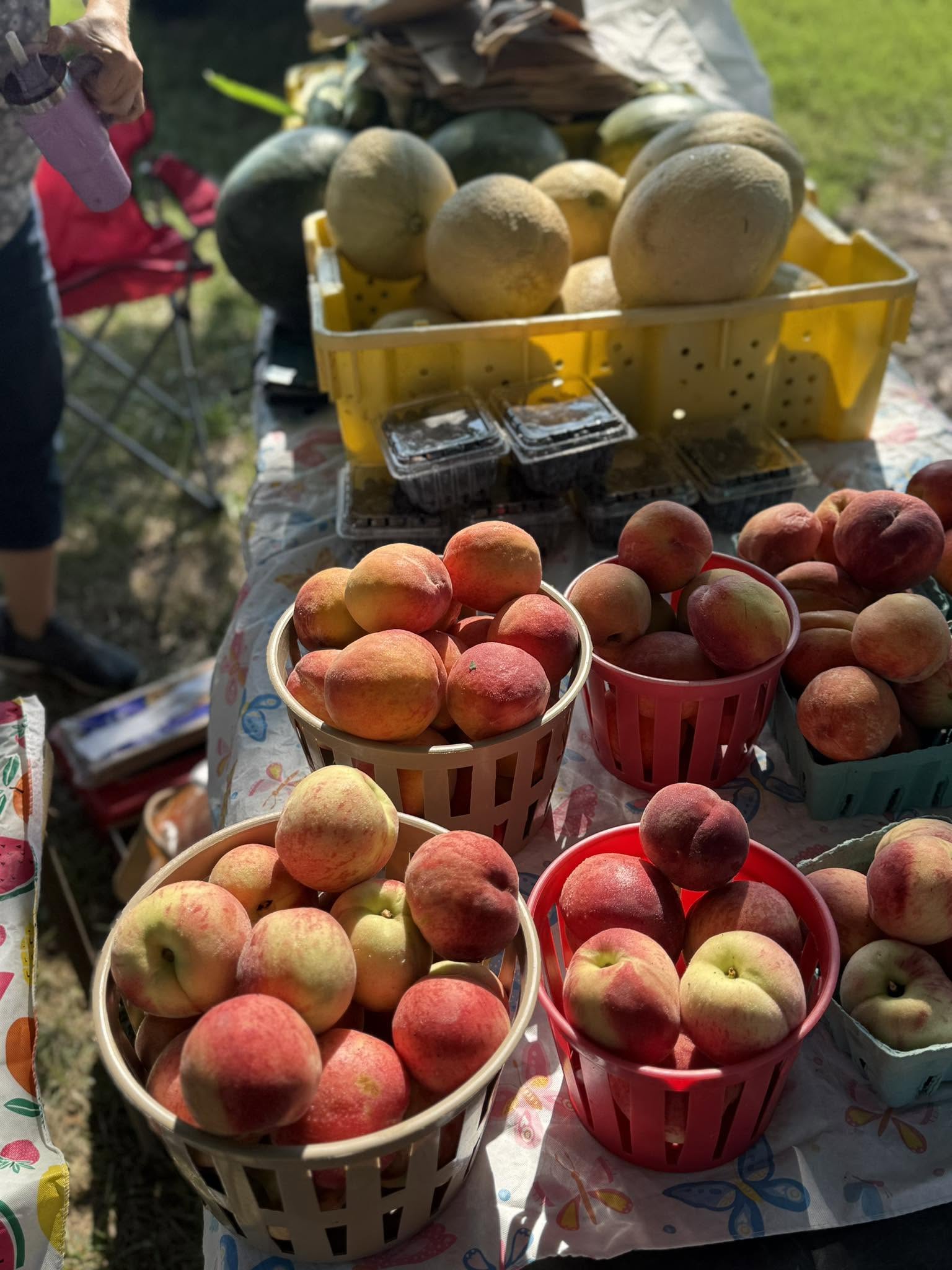 Tidal Farmers Market