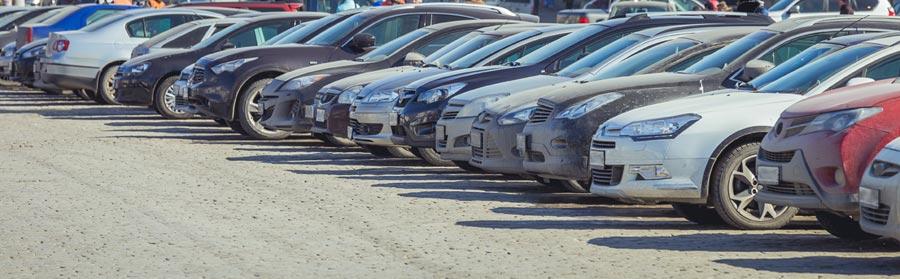 Speed's Auto Auction