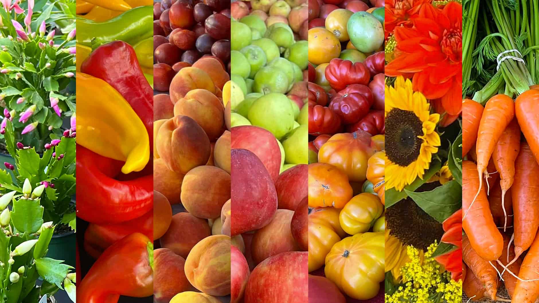 Maple Valley Farmers Market