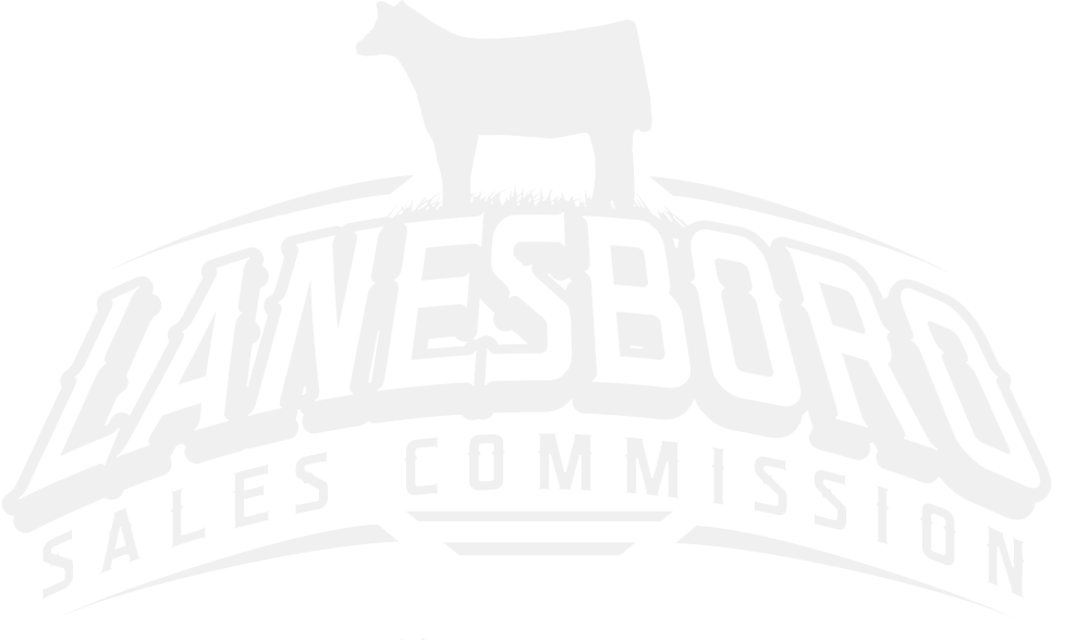 Lanesboro Sales Commission Inc