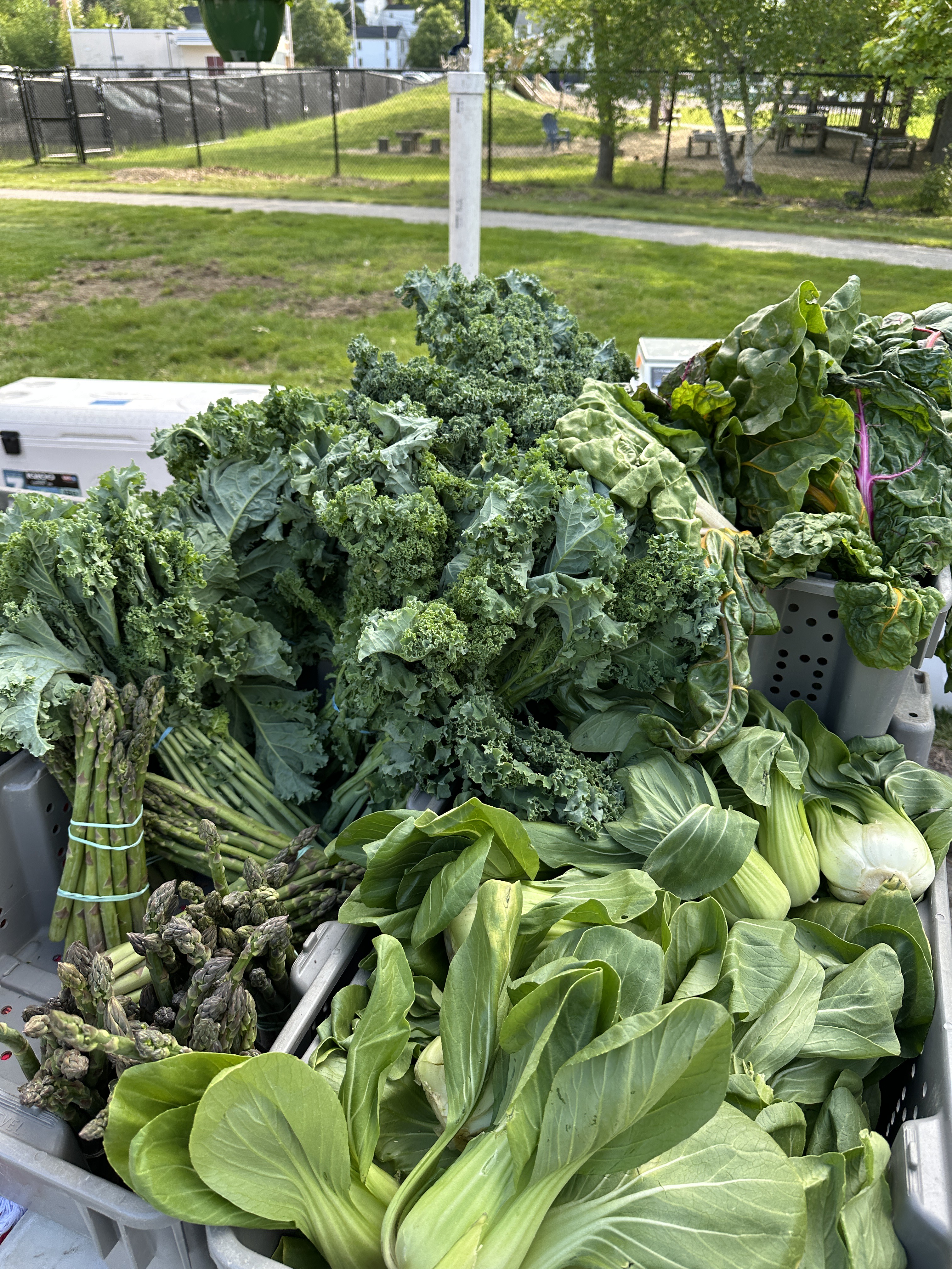 Exeter Farmers' Market