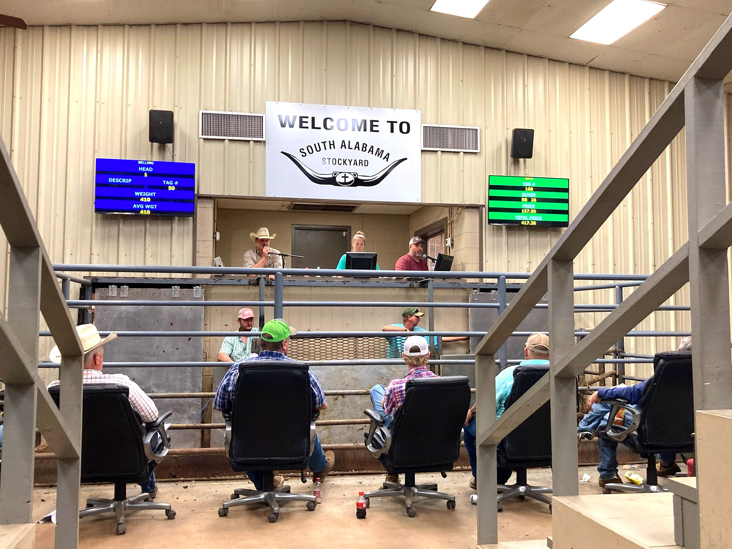 South Alabama Stockyard