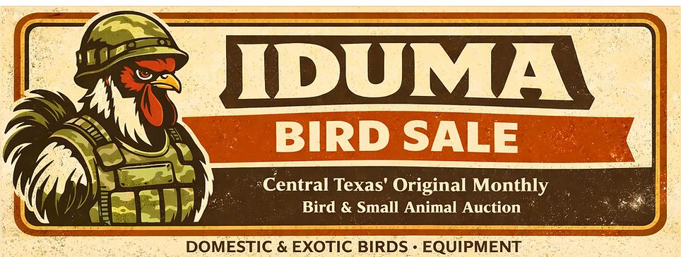 Iduma Bird Sale banner from idumabirdauction.com