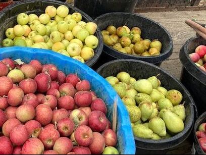 Latah Farmers Market