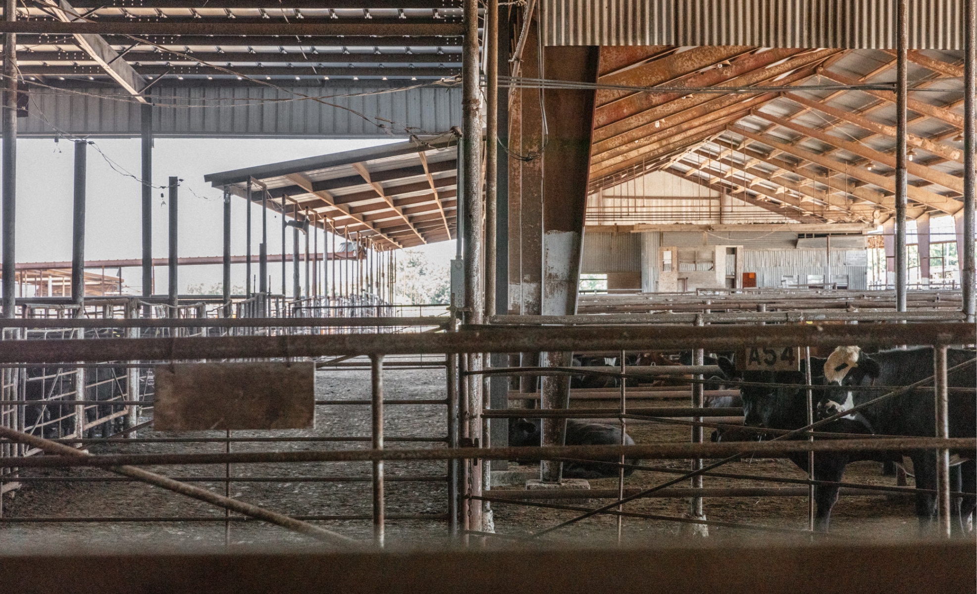 McAlester Stockyards