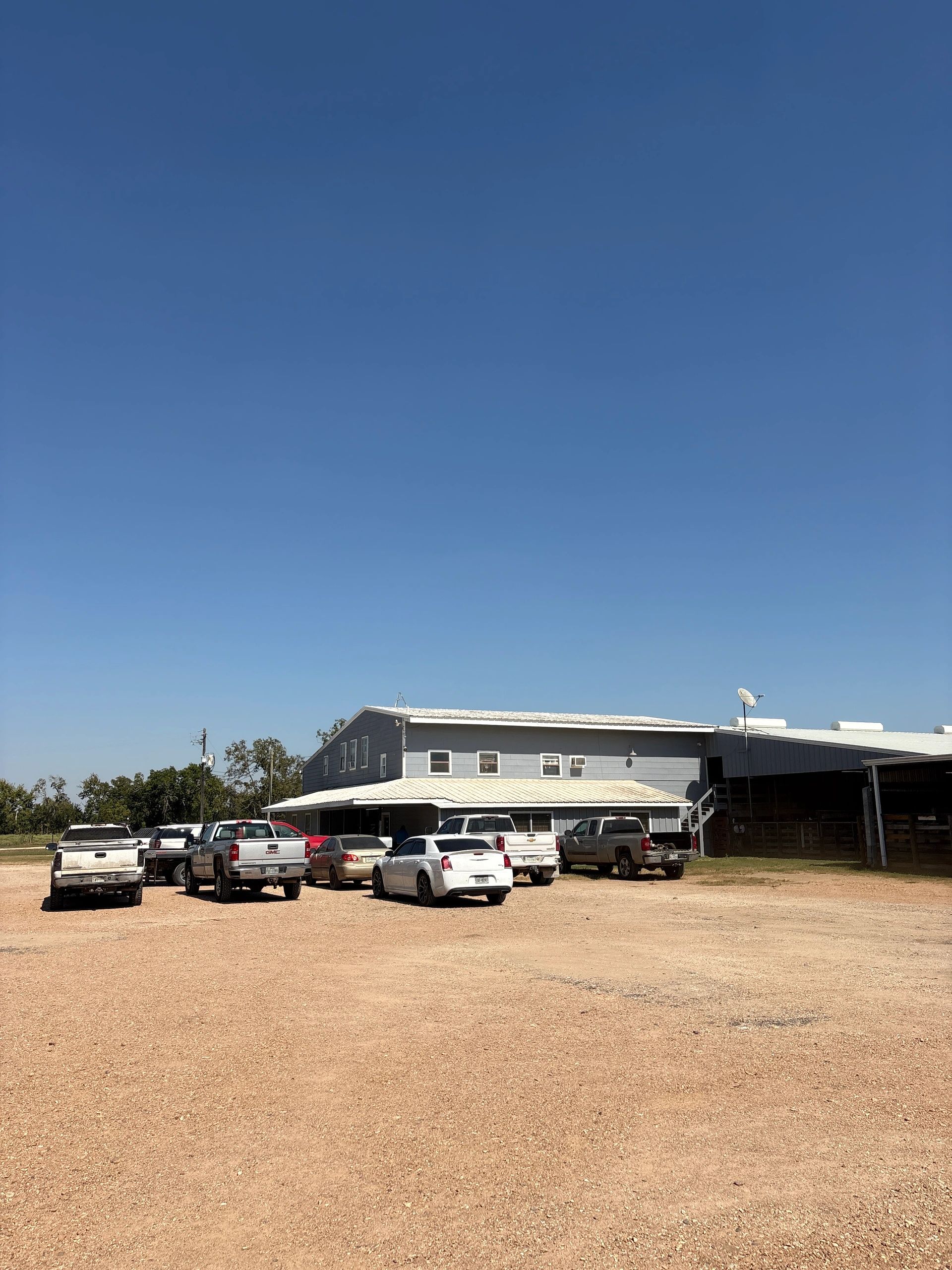 Wharton Livestock Auction Livestock