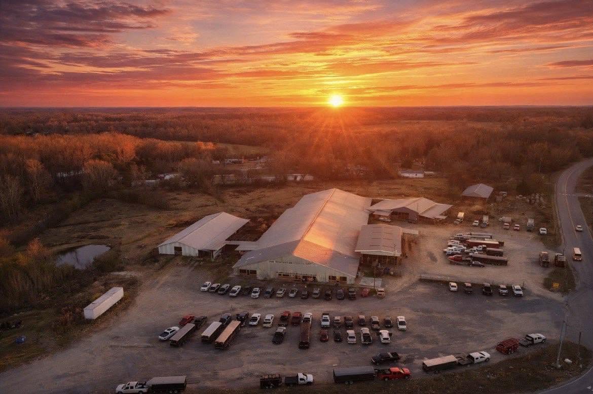 Sand Mountain Stockyard