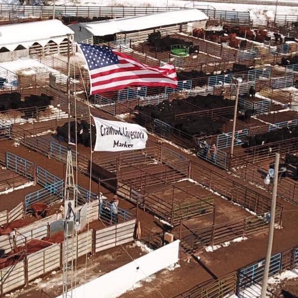 Crawford Livestock Market