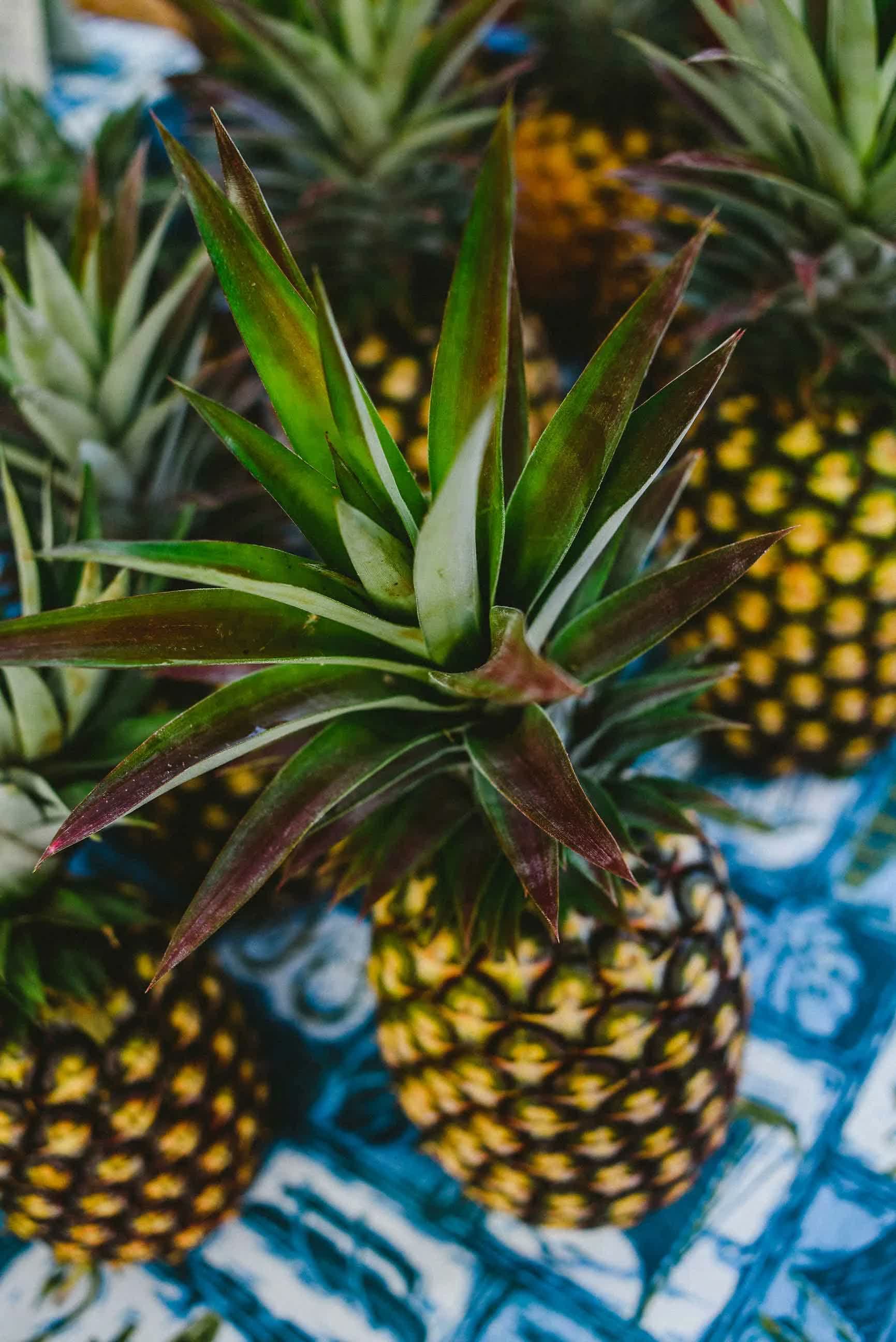 Keauhou Farmers Market