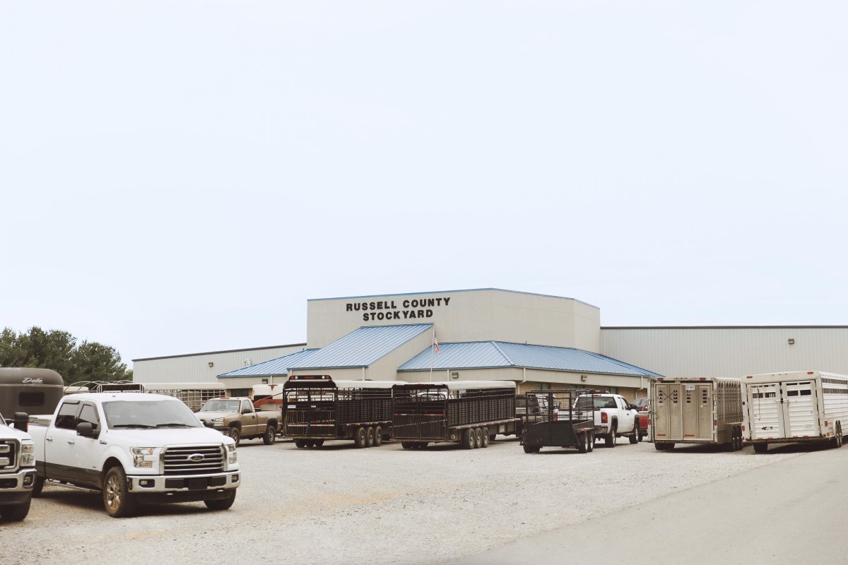 Russell County Stockyard — Russell Springs