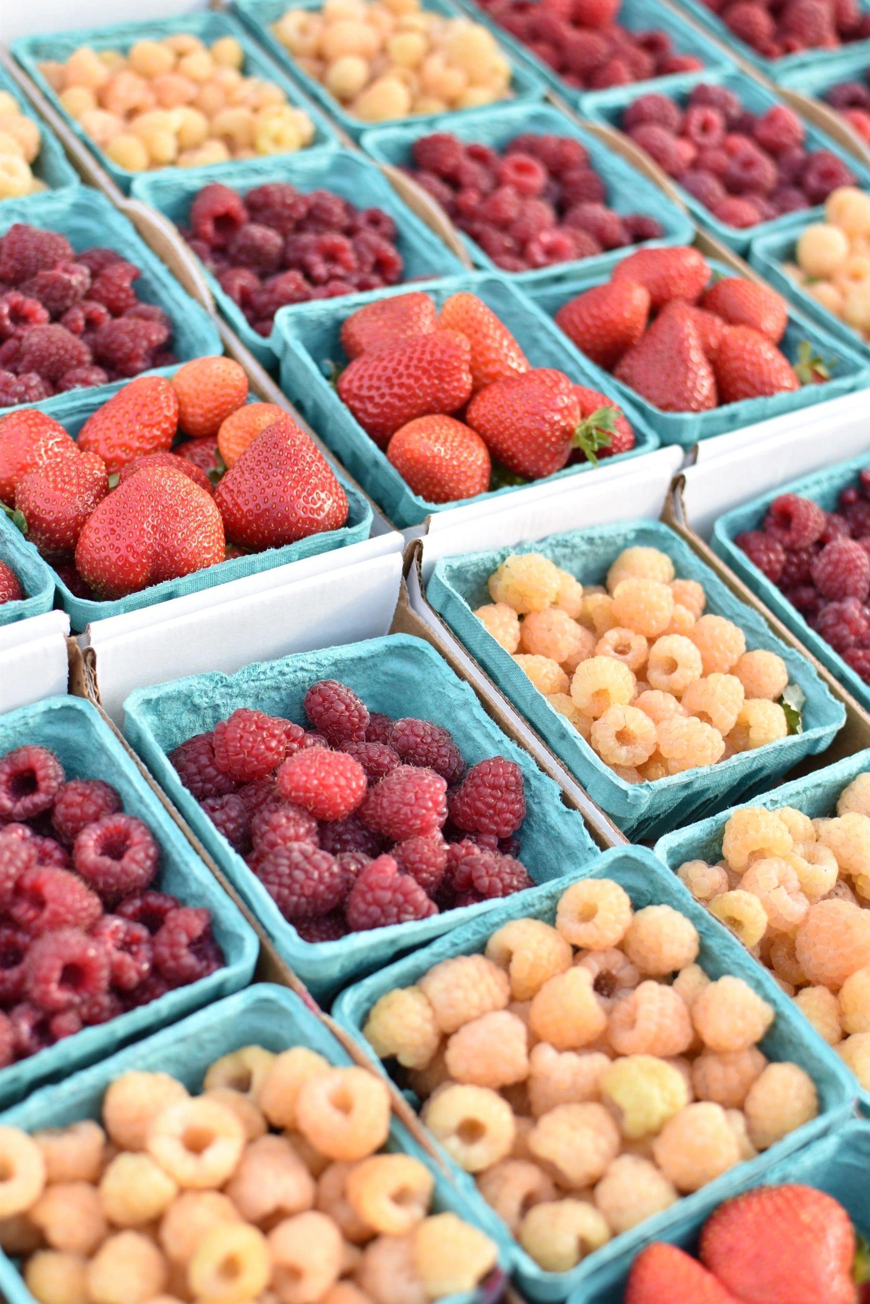 Richland Farmers Market