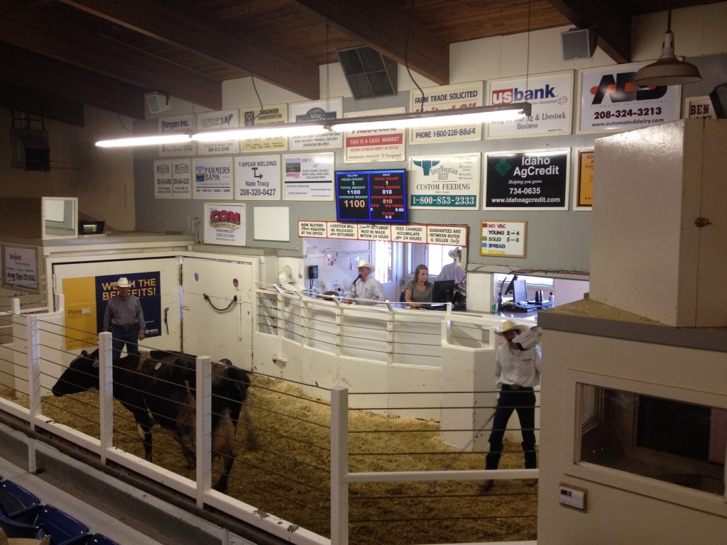 Producers Livestock Marketing Association