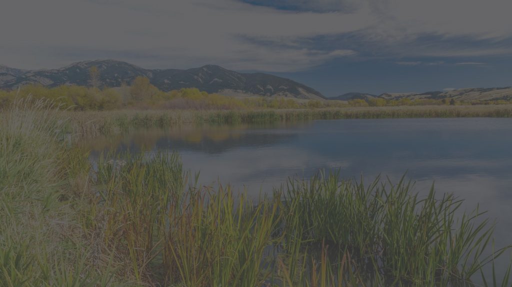 Bozeman Farmers' Market