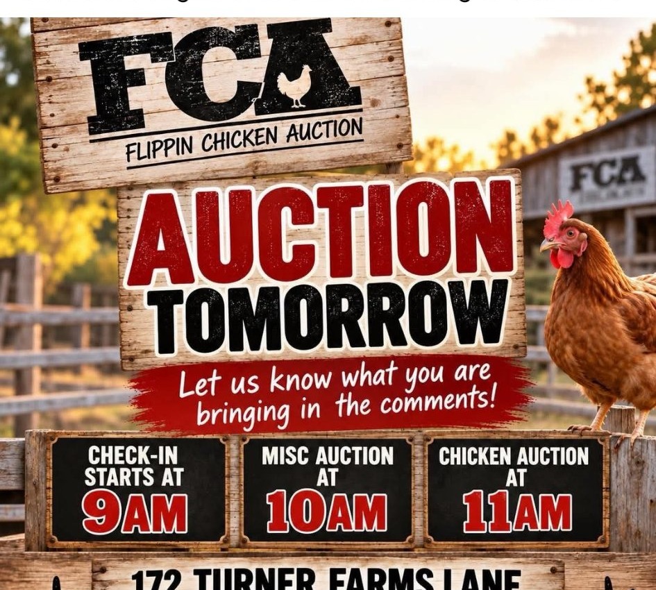 Flippin Chickens Auction & Sales