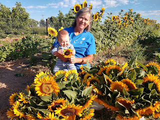 Jerome Farmers Market