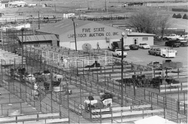 Five States Livestock Auction