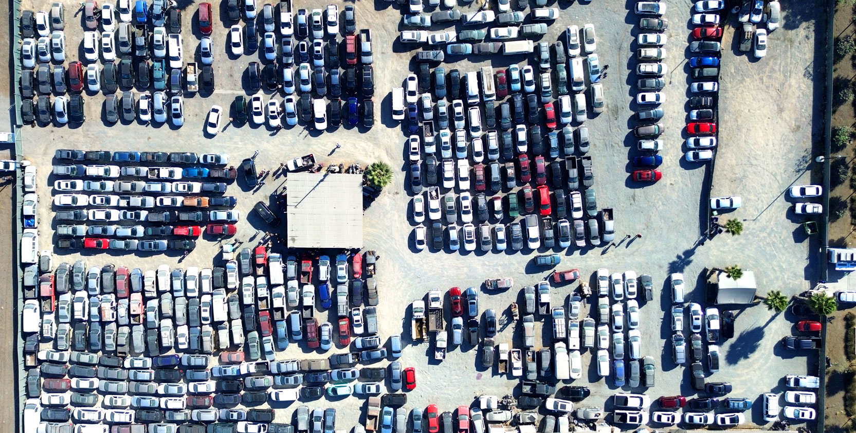 Otay Auto Auction