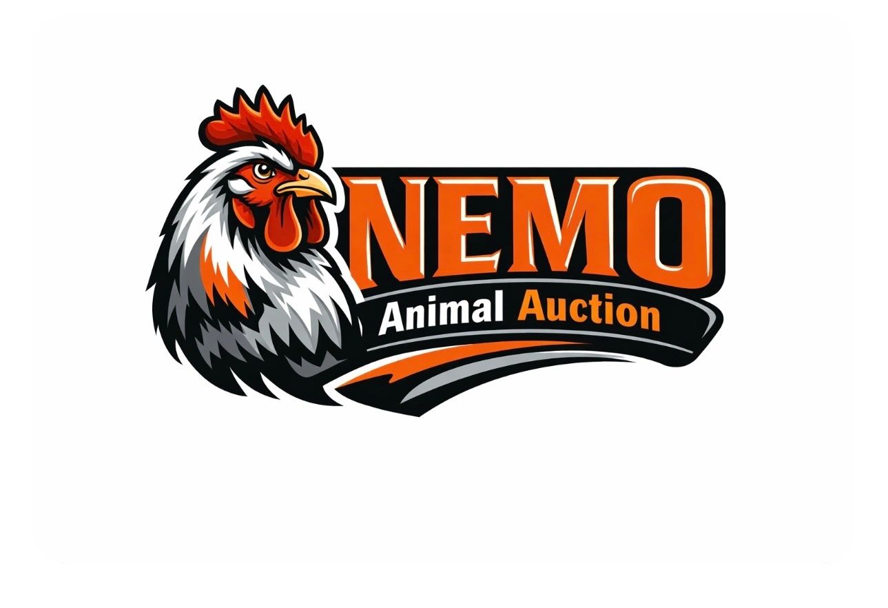 NEMO Small Animal & Bird Auction