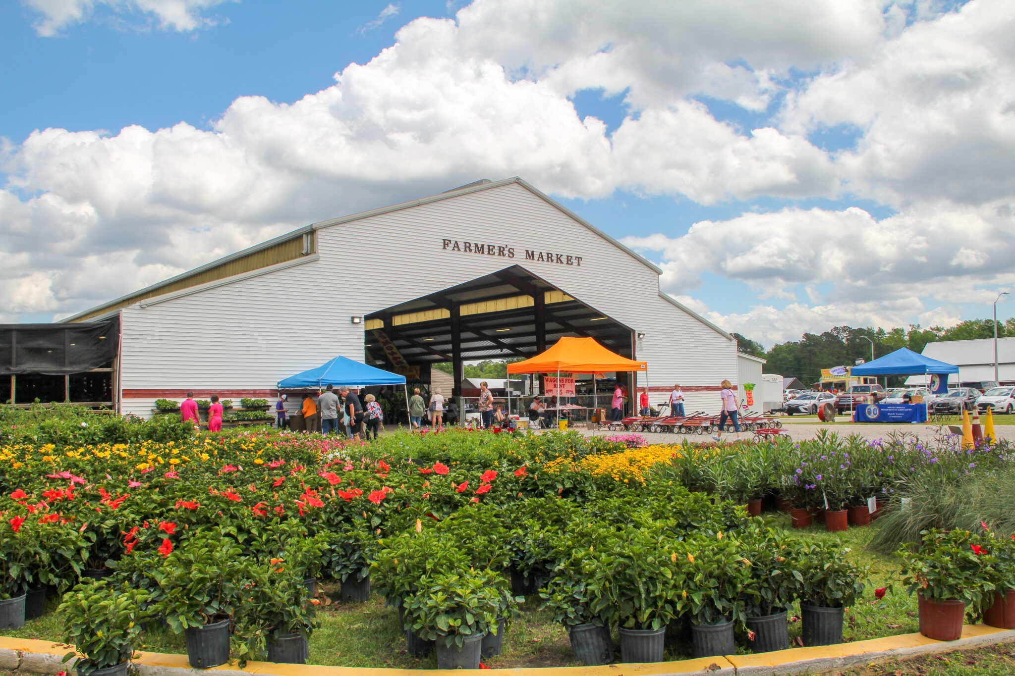 Pee Dee State Farmers Market